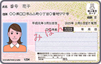 カード表