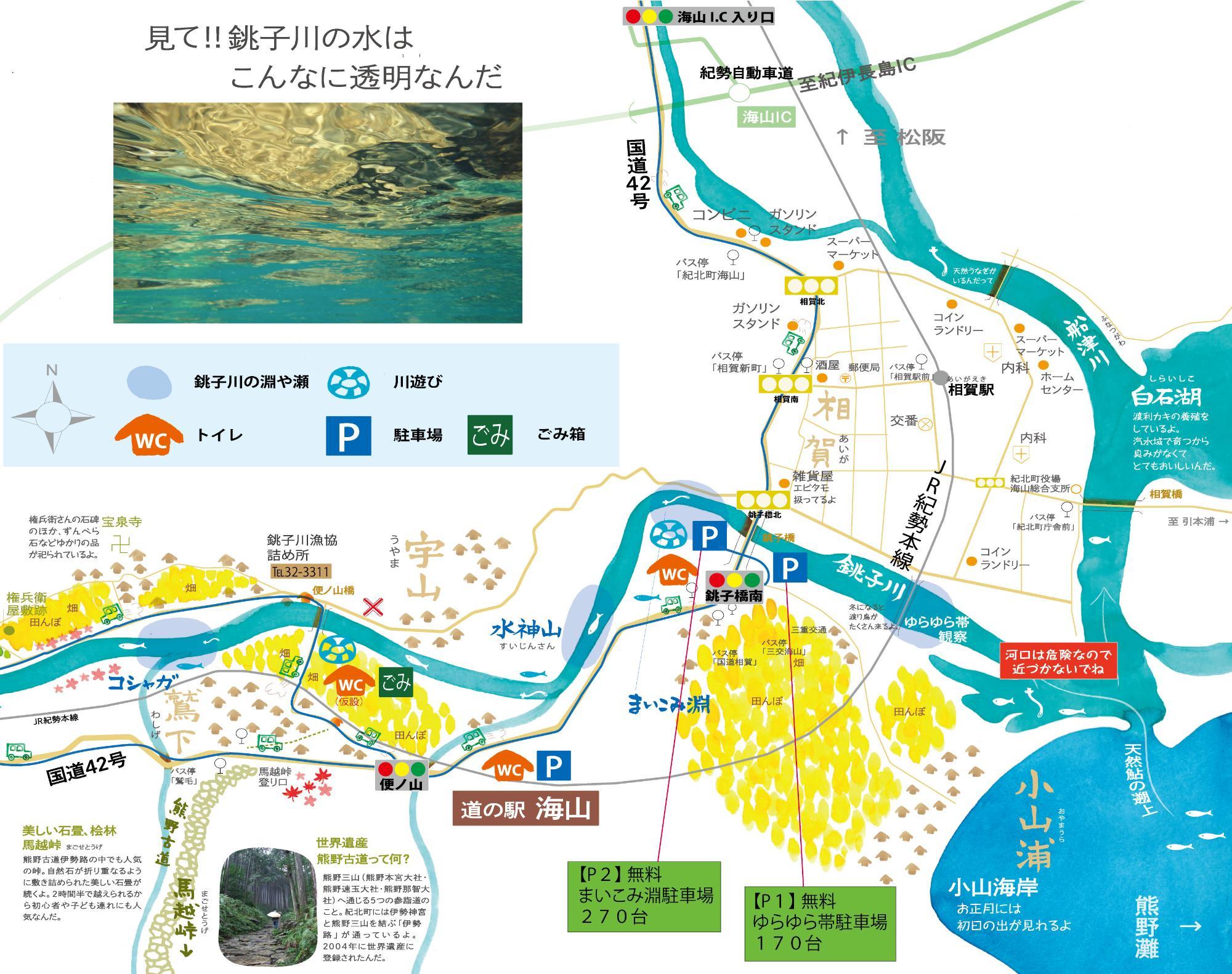 karyuu-tyuusyazyou
