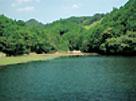 宮谷池写真