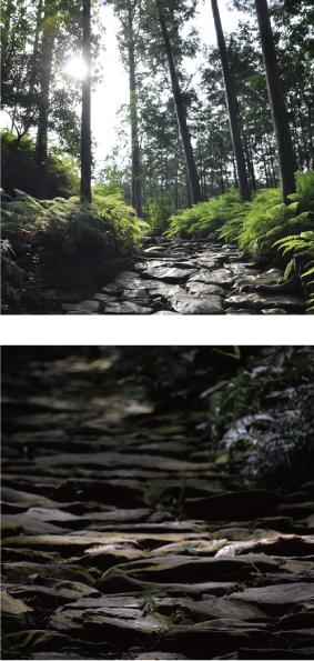 熊野古道画像