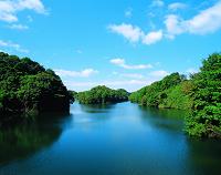 室池画像